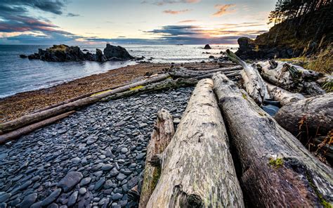 Download Wallpaper 2560x1600 Logs Coast Sunset Stones Widescreen 16