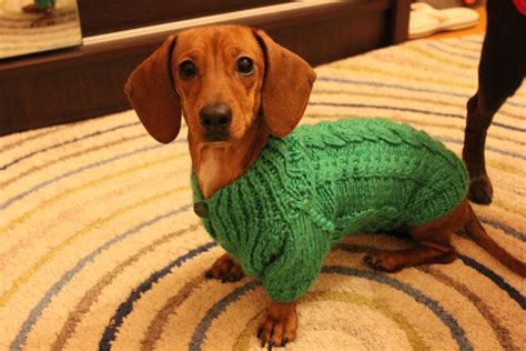 Dog Sweater Sweater For Dachshund Dog Clothes Clothing For Dog