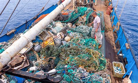 Largest Open Ocean Clean Up Sets New Record Circular Online