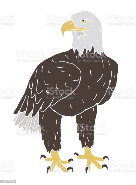 Bald Eagle Stock Illustration Download Image Now Animal Animal