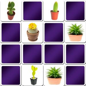 Register on aarp.org and compete against others to find out if you are a top gamer. Great memory game for seniors - cactus - Online and free game!