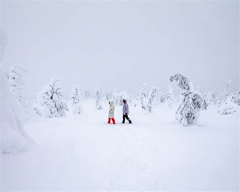 10 Most Popular Activities In Rovaniemi In The Winter