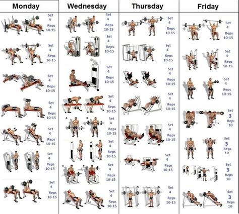 A Simple And Effective Muscle Building Schedule Bodybuilding Program