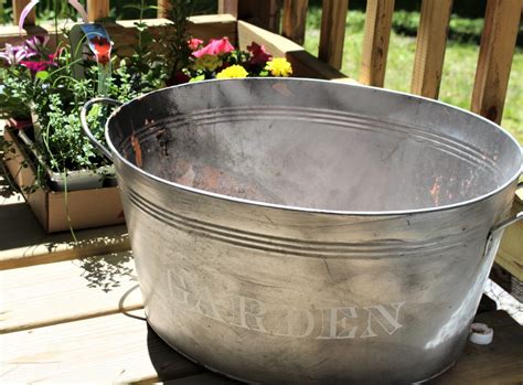 How To Plant An Herb Garden In A Galvanized Bucket