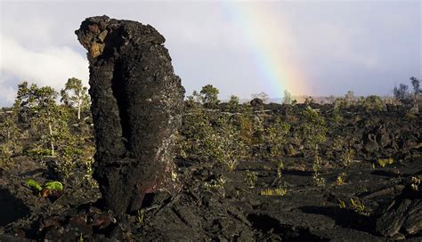Lava Trees And Tree Molds Hawaii Volcanoes National Park Us