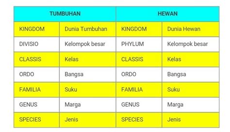 Pengertian Taksonomi Tujuan Contoh Tingkatan Takson Dalam Biologi