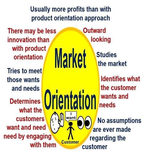 What Is Market Orientation Definition And Meaning