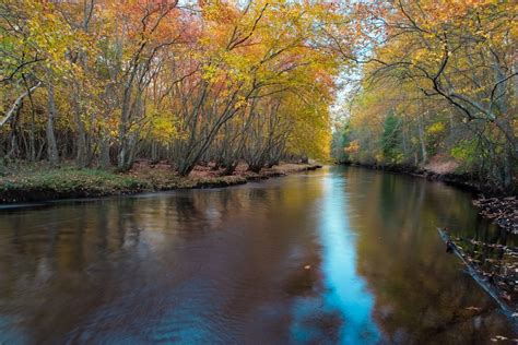 Mullica River - 5-Hour Paddle - For Experienced Paddlers ...