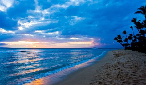 Tropical Beach Sunset Wallpaper And Background Image 1680x980 Id