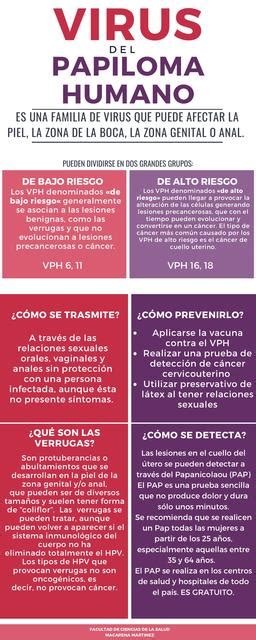 Infografía Virus del Papiloma Humano Maca uDocz