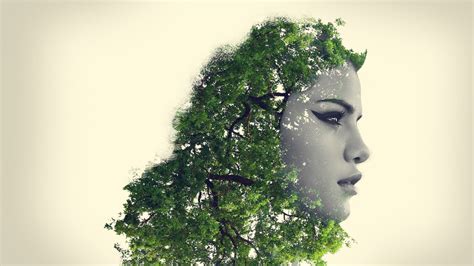 Wallpaper Face Trees Illustration Digital Art