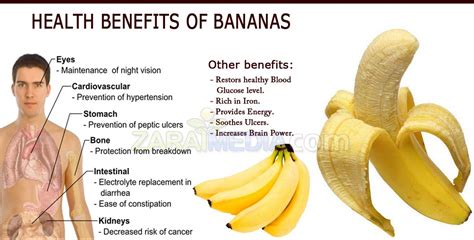 Banana Benefits For Men Breadfruit Benefits
