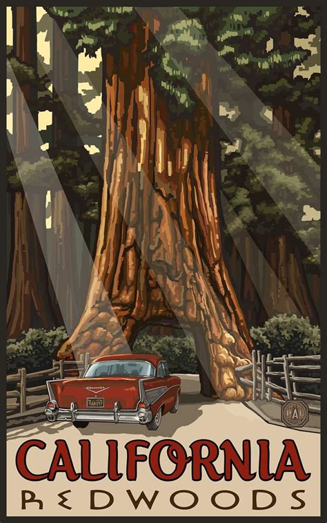 Northwest Art Mall Car Through Redwood Tree Redwoods