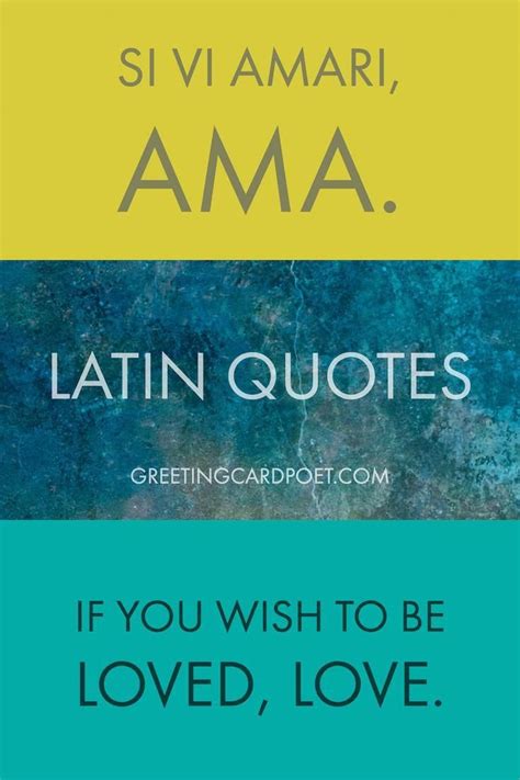 I use the word balanced before successful. Best Latin Quotes, Sayings and Phrases | Latin quotes ...
