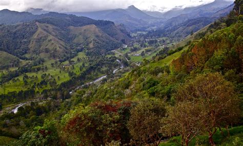 Cocora Valley Los Nevados National Park Lac Geo