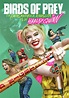 Birds of Prey (e la fantasmagorica rinascita di Harley Quinn) - Warner ...