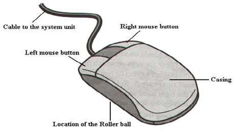 Describe The Various Components Of Computer Mouse