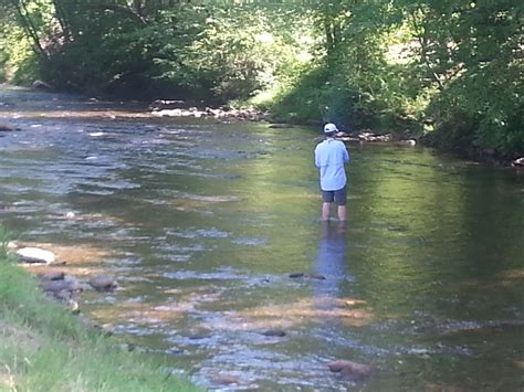 Deep Creek Fly Fishing Report For Bryson City Nc In The Smoky Mountains