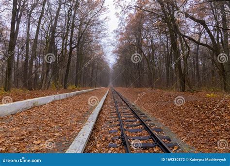 Railroad Single Track Through The Woods In Autumn Fall Landscape Stock