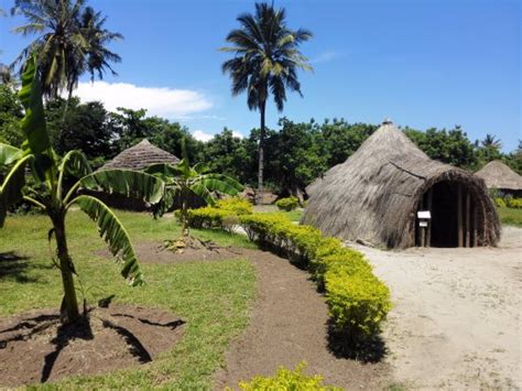 Village Museum Circuits Et Billets Dar Es Salaam Tripadvisor