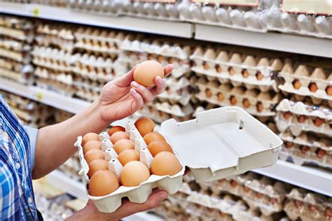Sedm nejčastějších chyb při skladování vajec adbz cz