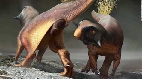 This Fossil Reveals How Dinosaurs Peed Pooped And Had Sex Us Message