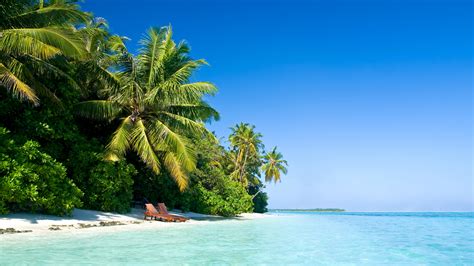 Hd Windows 10 Wallpaper Maldives Nature Palm Tree Beach 1920x1080