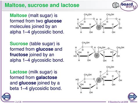 Maltose Is A Disaccharide Results From Glucose And Fructose Fruct Blog