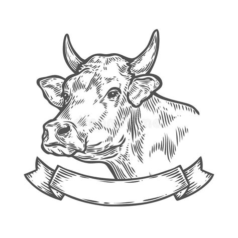 Cow Bull Beef Stock Illustrations 19737 Cow Bull Beef Stock