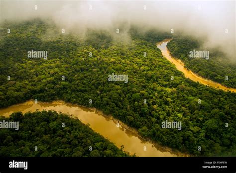 Amazon Rainforest Aerial Primary Forest Yavari Miri River Between