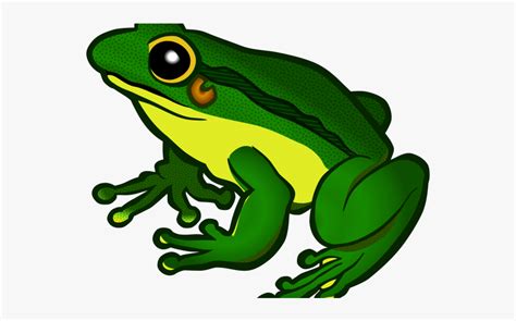 Poison Dart Frog Clipart Transparent Background Clipart Frog Free