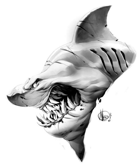 Shark By Nicolasaviori On Deviantart