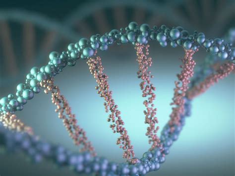 Branches Of Genetics Britannica