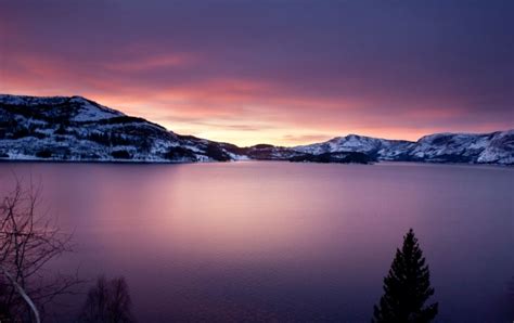 Purple Sunset On A Lake Wallpapers