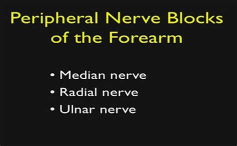 Ultrasound Guided Regional Anesthesia Upper Extremity Nerve Blocks