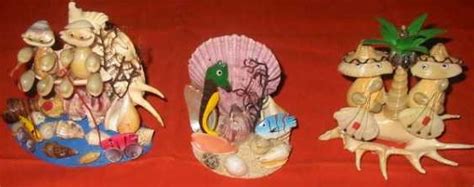 Exotic Sea Shell Collectibles And Souvenir Items For You