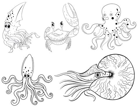 Animal Outline For Sea Animals 413428 Vector Art At Vecteezy