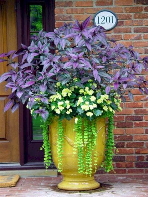 Enchanting Colorful Shade Garden Pots Ideas For Small Spaces23 Front