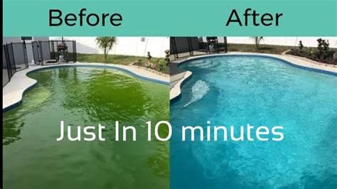 How To Maintain Swimming Pool Crystal Clear Blue Clear Youtube