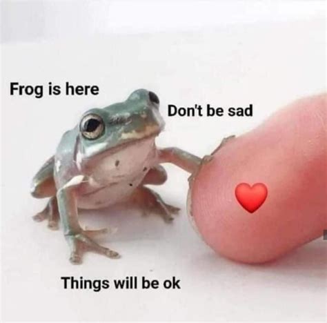 Frog Friend Is Here Rwholesomememes Wholesome Memes Know Your Meme
