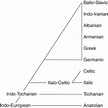 Italo-Celtic (Chapter 7) - The Indo-European Language Family