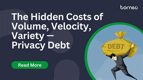 The Hidden Costs Of Volume Velocity Variety — Privacy Debt
