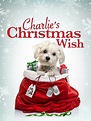 Charlie's Christmas Wish (2020) - Posters — The Movie Database (TMDB)