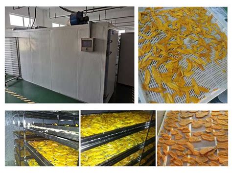 Mango Drying Machine Industrial Fruit Drying Dehydrator Machine