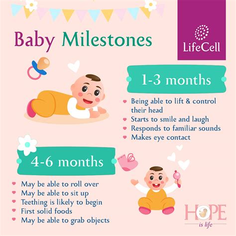 Developmental Milestone Chart: To 6-Months Developmental, 55% OFF
