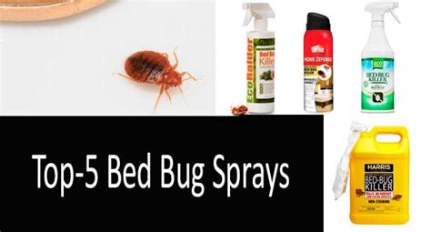 Top 7 Bed Bug Sprays Fast Blood Sucking Insect Killers