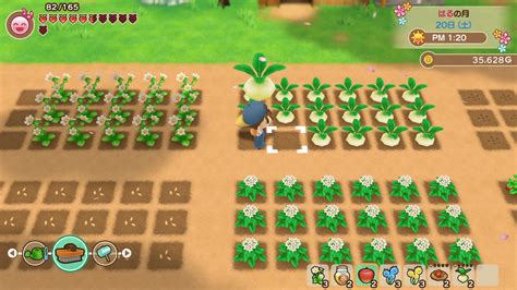 The player's main objective is to produce crops, raise livestock. Harvest Moon: Friends of Mineral Town remake heading to ...