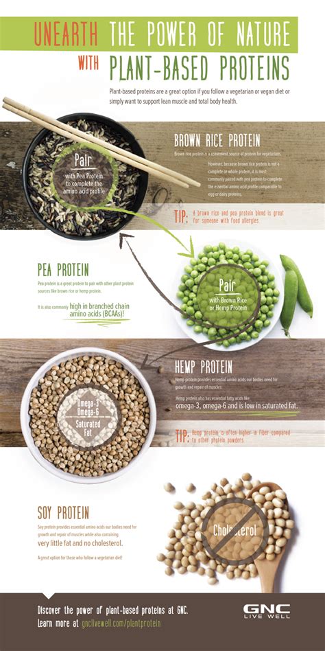brandpointcontent the power of plant based proteins [infographic]