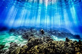 Surface | Bottom of the ocean, Oceans of the world, World best photos