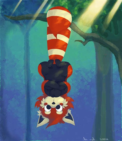 Mitchell The Red Panda — Weasyl
